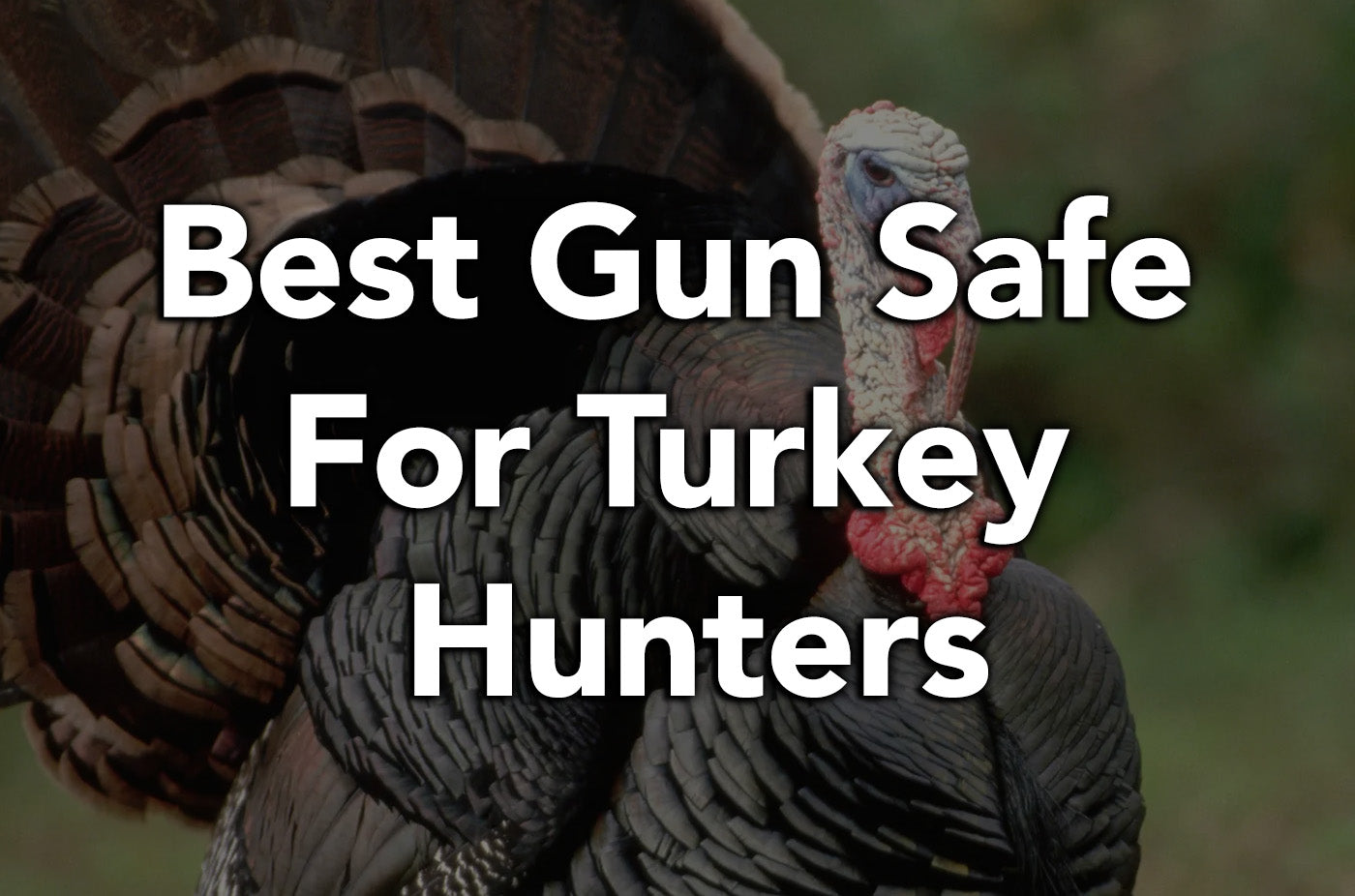 Best Gun Safe for Turkey Hunters